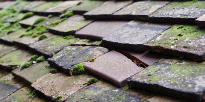 Pembrey roof repair costs